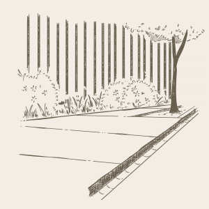 Trees