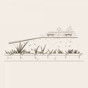 Lawn
