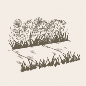 Flower Beds